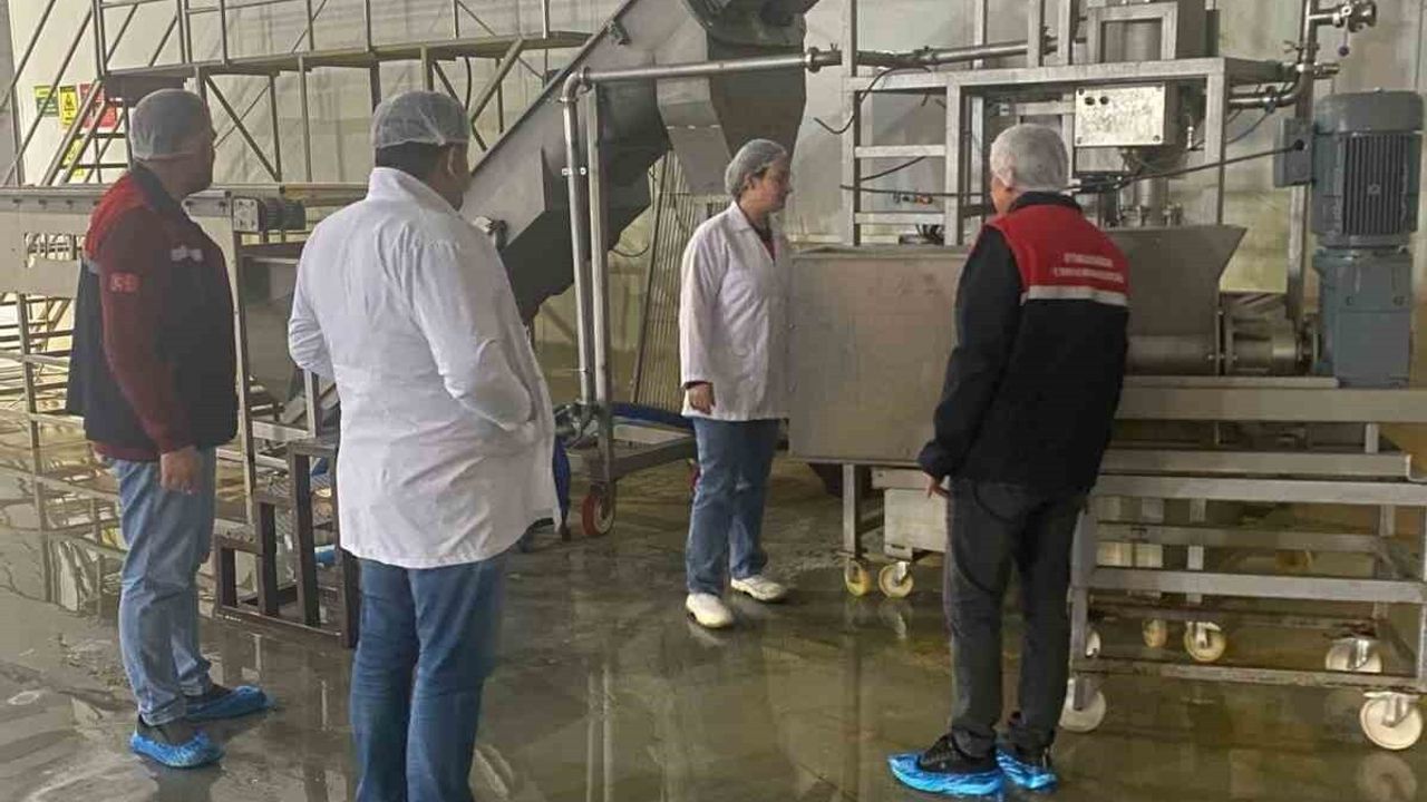 Afyonkarahisar Emirdağ'da Hayvansal Yem Tesisi Denetlendi