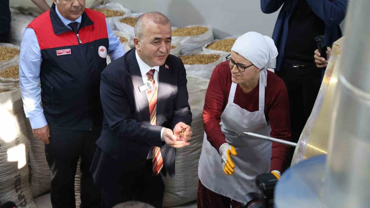 Ağın'da Yöresel Leblebi Etkinliği: Vali Hatipoğlu Kadın Girişimini Tebrik Etti