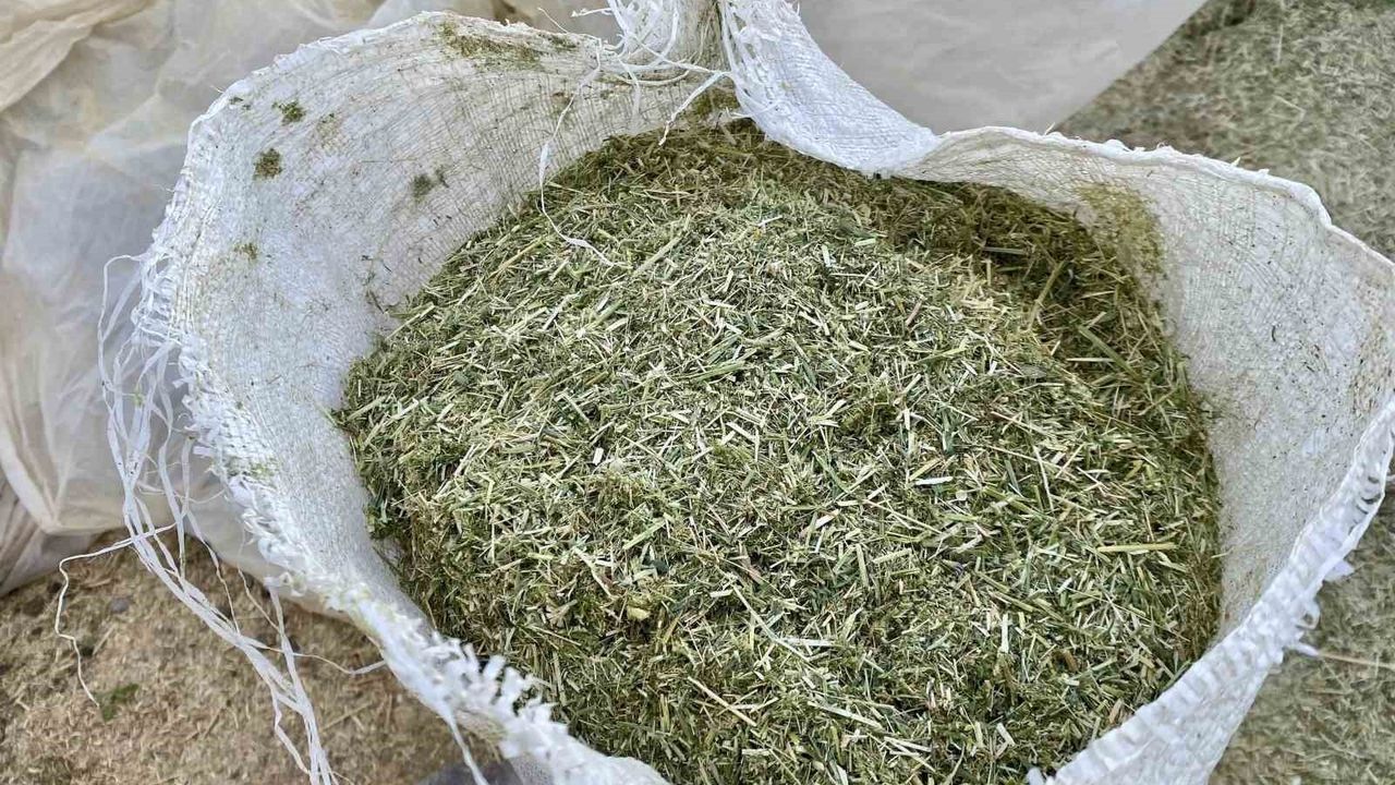 Ağrı'da Besiciler Kışa Samanla Hazırlanıyor