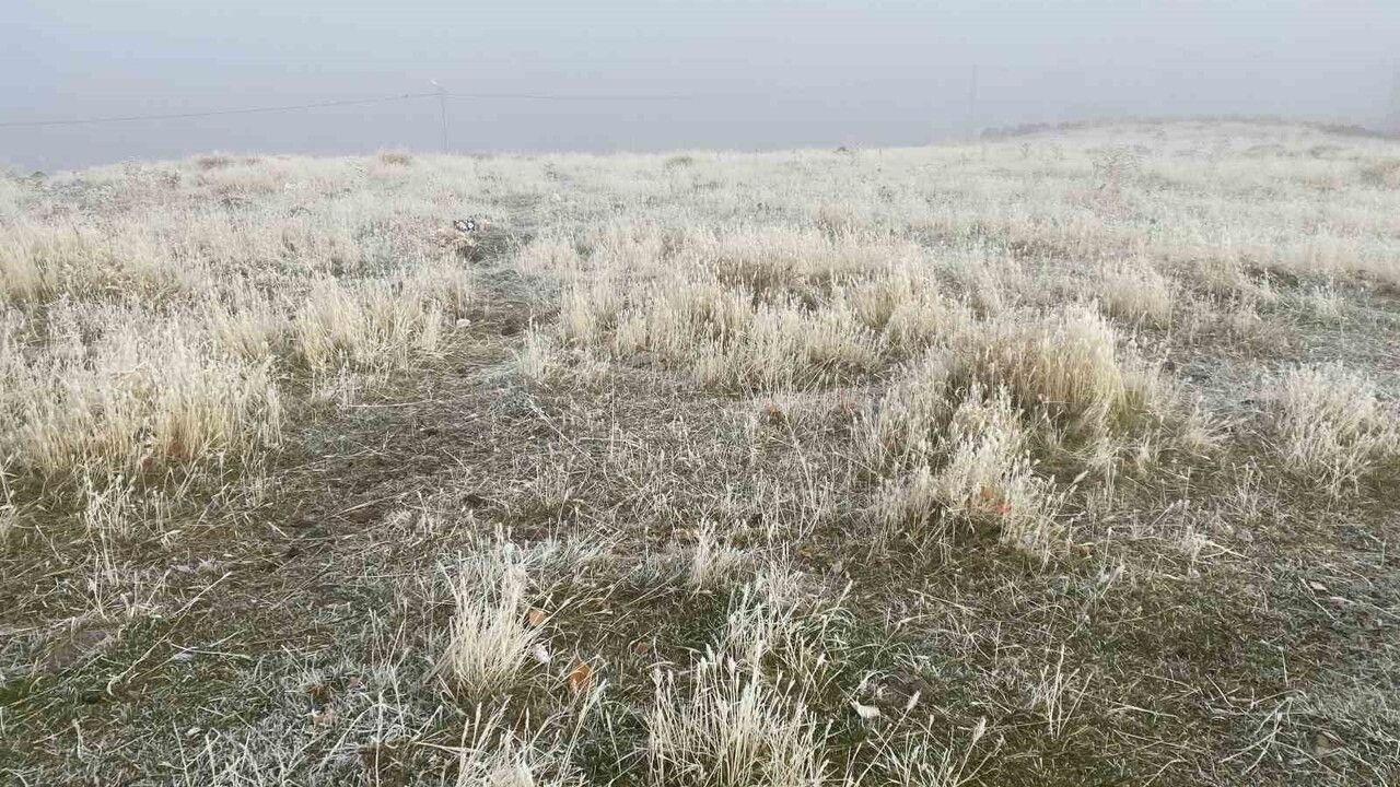 Ağrı'nın Patnos'ta Kırağı Etkili Oldu