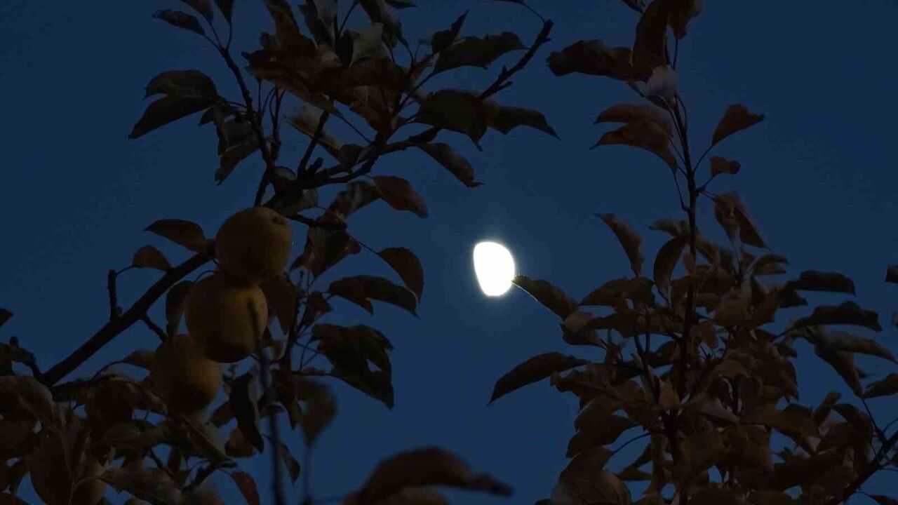 Ahlat'ta Yarım Ay Kartpostallık Manzara