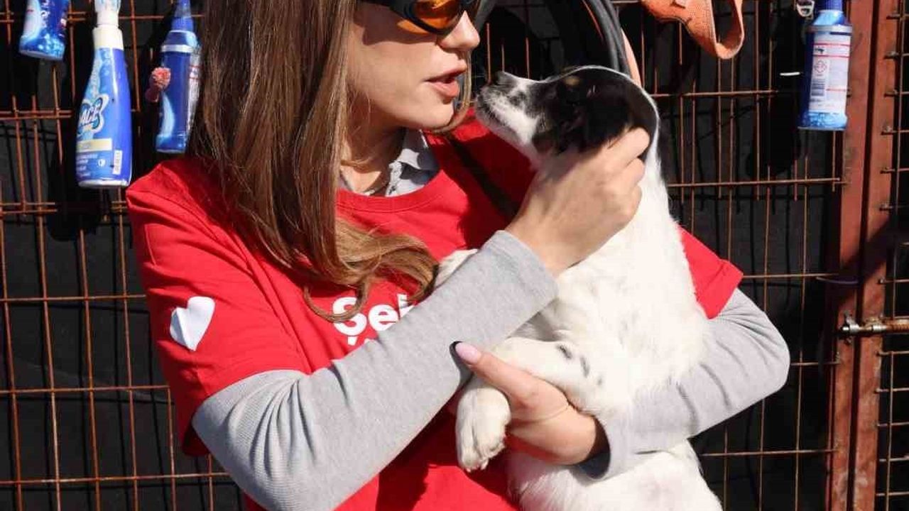 Akbank'ın 'Şehrin İyi Hali' 11’inci yılında 615 genci gönüllülükle buluşturdu