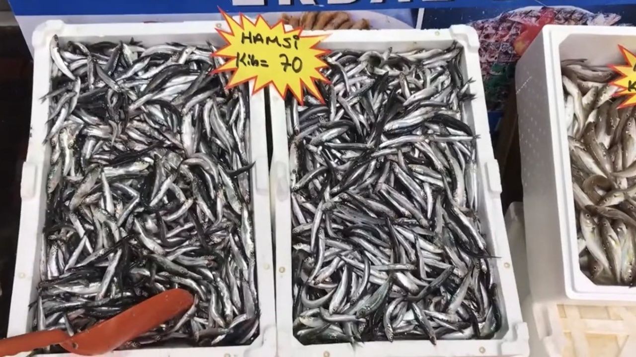 Akçakoca'dan Uyarı: Buzhane Balığına Dikkat