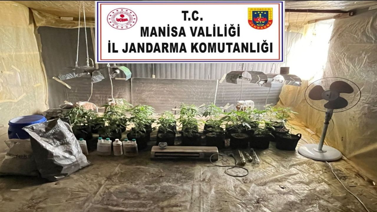 Akhisar'da Evinde İklimlendirme Sistemiyle Kenevir Yetiştiren Şüpheli Yakalandı