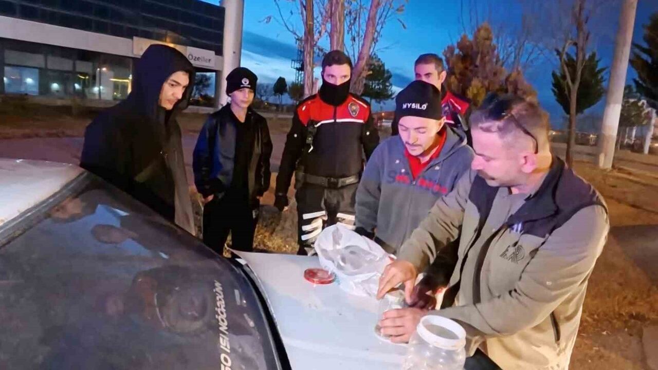 Aksaray’da Anadolu Sarı Akrep Satışına Suçüstü — Zehrinin Litresi 10 Milyon Dolar