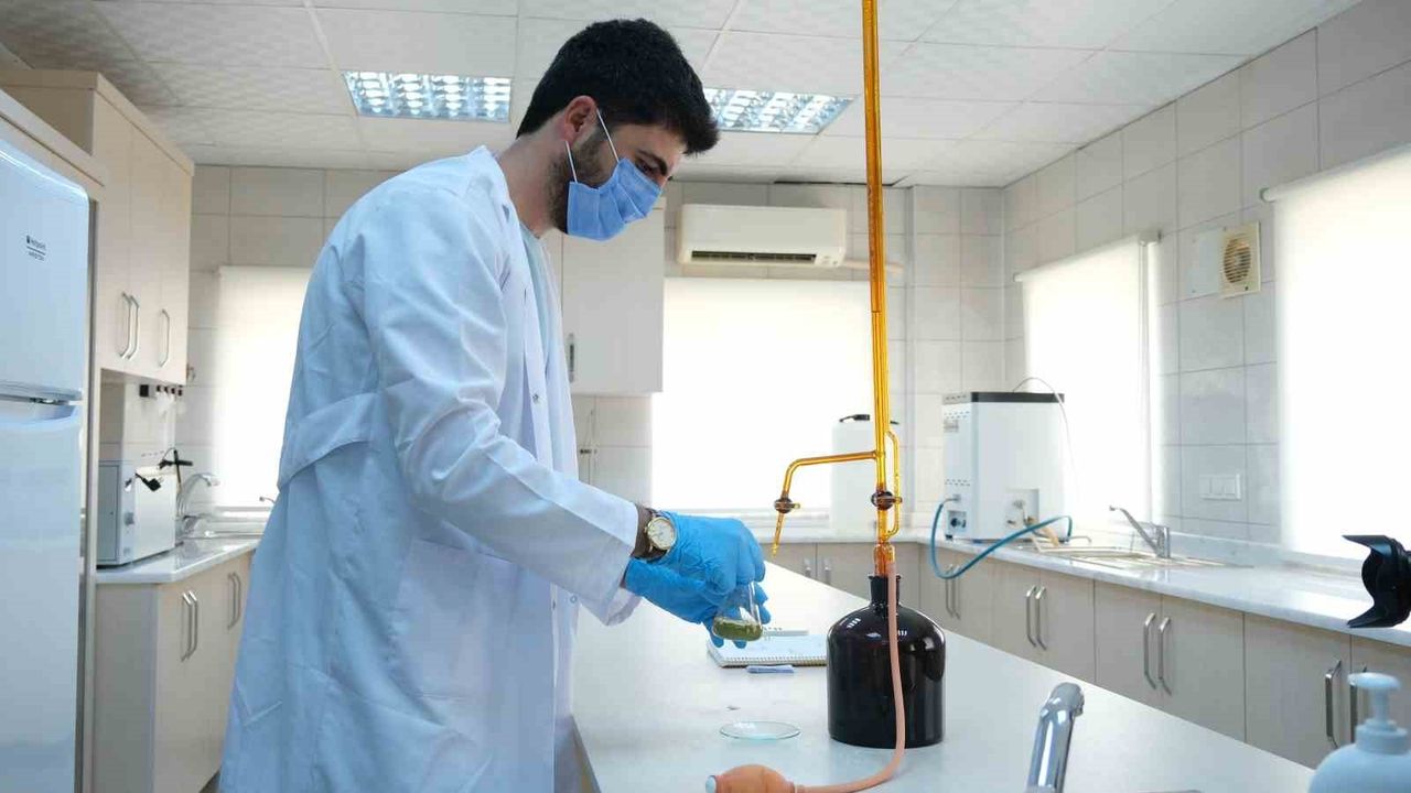 Alanya'nın İçme Suyu Altyapısı Güçleniyor — ASAT 150 bin metreküp/güne Hedefliyor