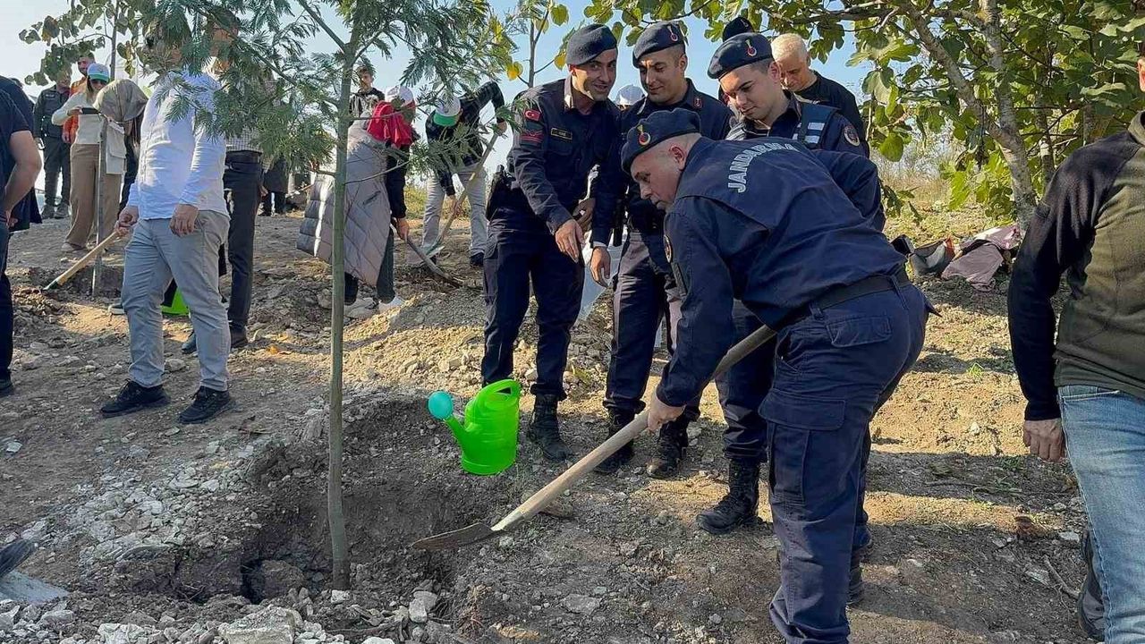 Alaplı’da 11 Kasım 2025’te Fidan Dikimi — Geleceğe Nefes