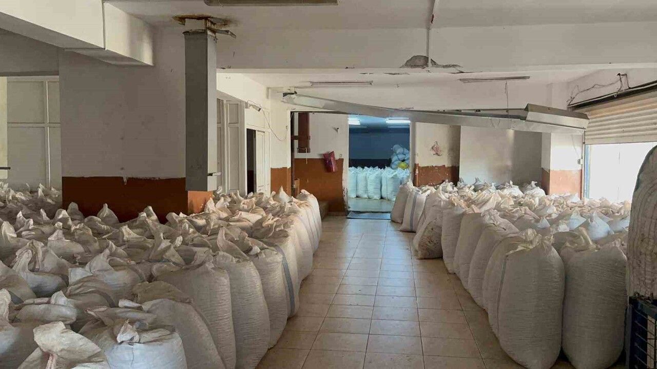 Alaplı'da Fındık Fiyatları Durağan: Tüccarlar 2026 Mart Rekolte Tespitini İşaret Ediyor