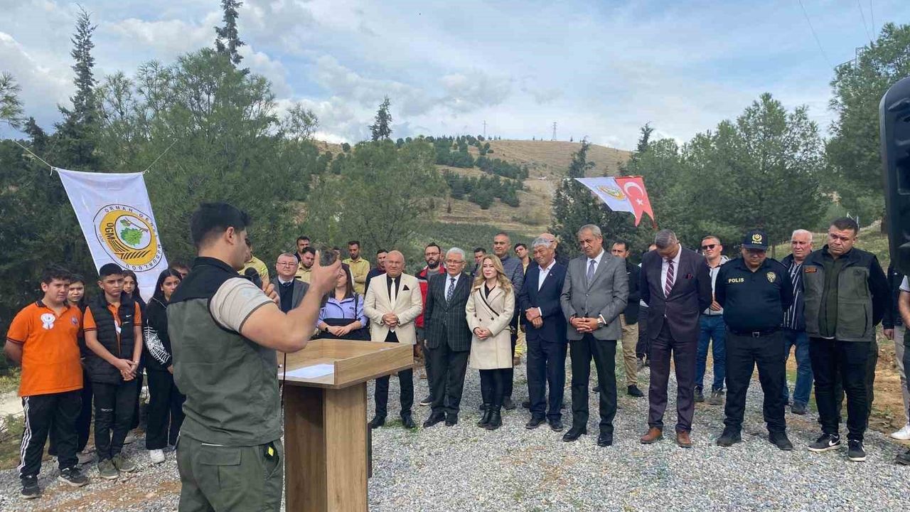 Alaşehir'de 11 Kasım'da 3 Bin Fıstık Çamı Fidanı Dikildi