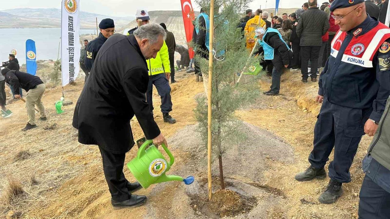 Ali Dağı'na 1111 Fidan: Talas'ta Milli Ağaçlandırma Seferberliği