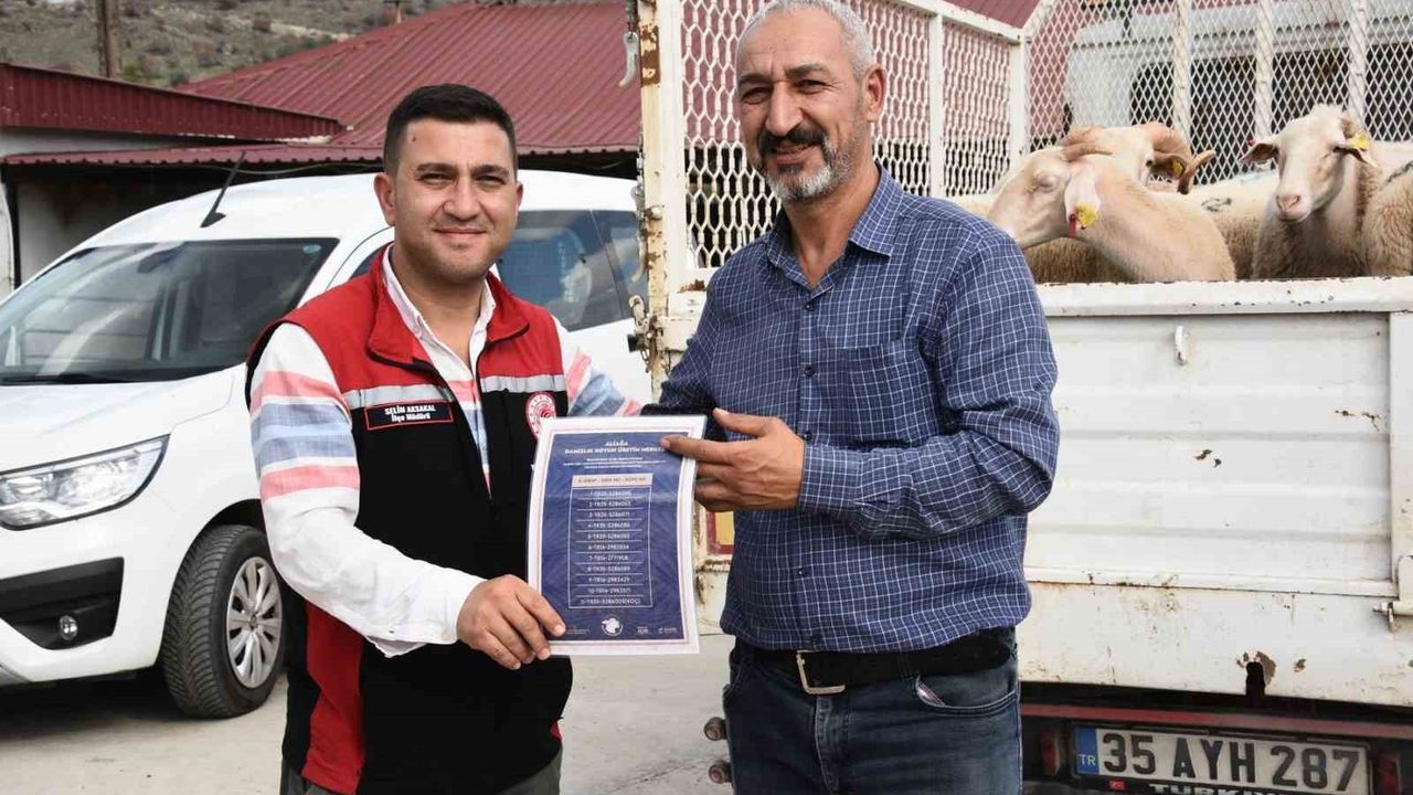 Aliağa'da Hibe Koyun ve Koçlar 110 Üreticiye Teslim Edildi