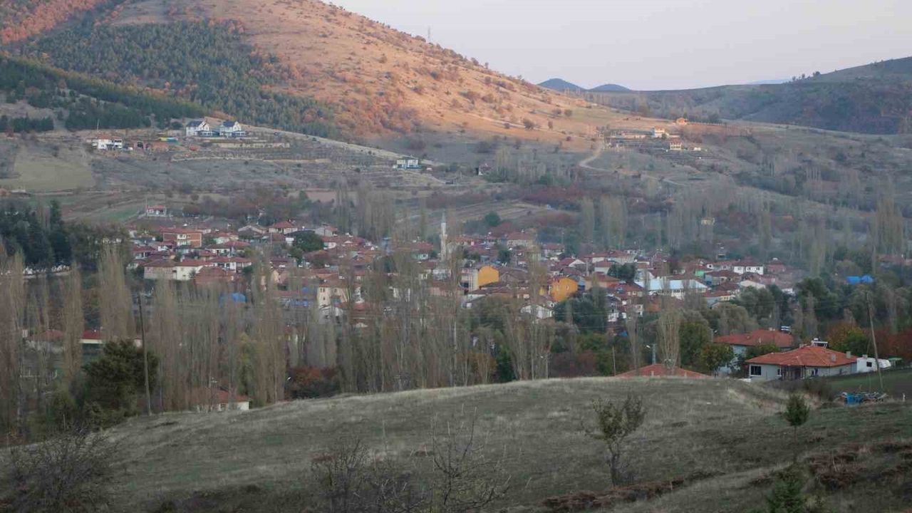 Amasya’da Gıda Mühendisi Nilgün Demir Köyünü ‘Dünya Yeşil Miras’la Canlandırdı