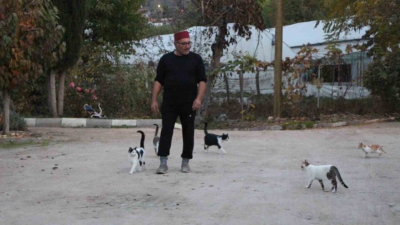 Amasya'da Sarı Kardeşlerin Tilki Rekabeti: Mangal mı Pasta mı?