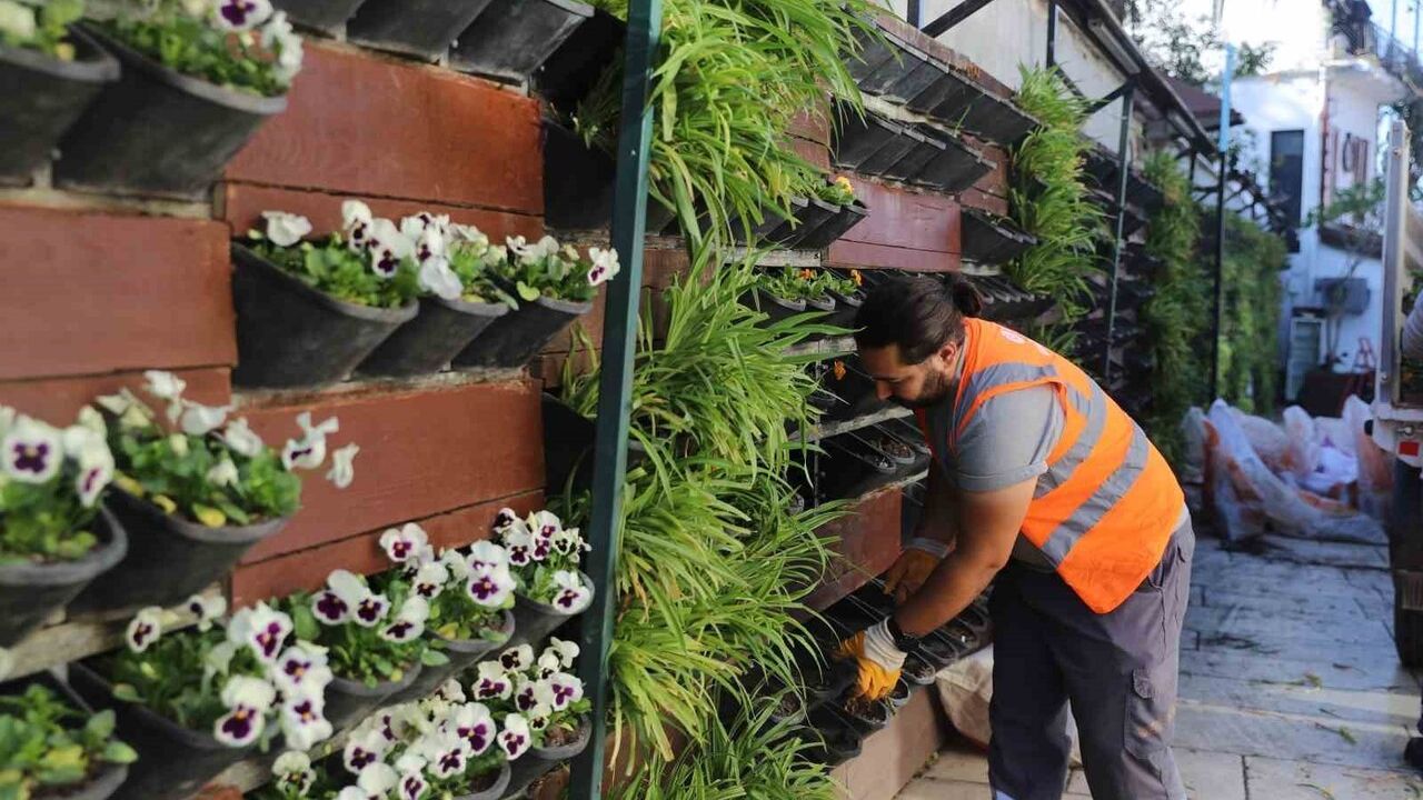 Antalya'da 4 Milyon Kışlık Çiçek Toprakla Buluştu