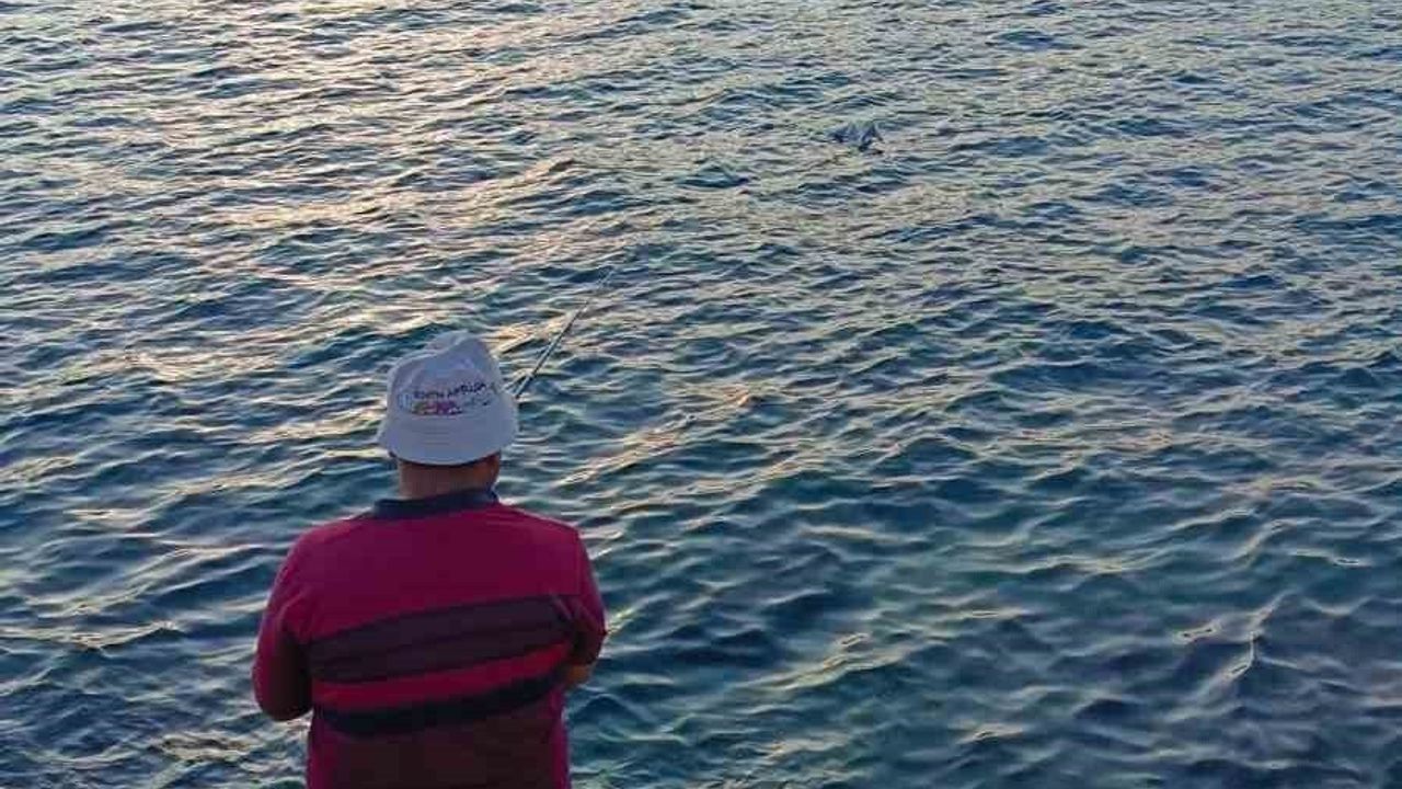 Antalya'da Oltaya Bu Kez Martı Takıldı