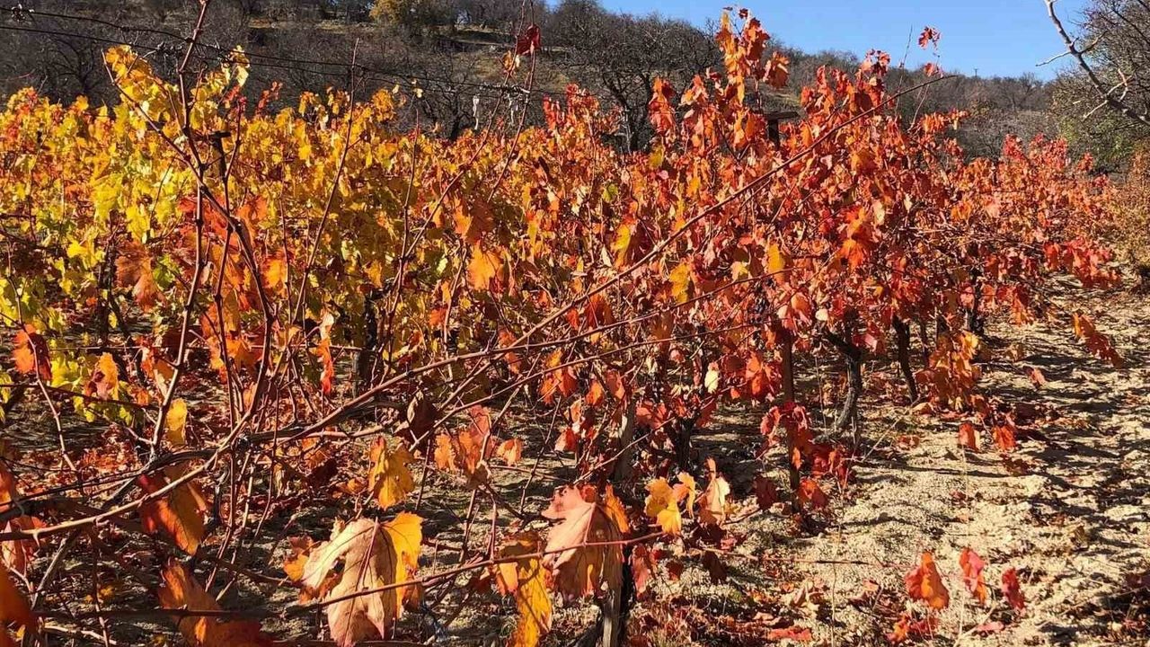 Arapgir'de Sonbaharın Kartpostallık Renkleri