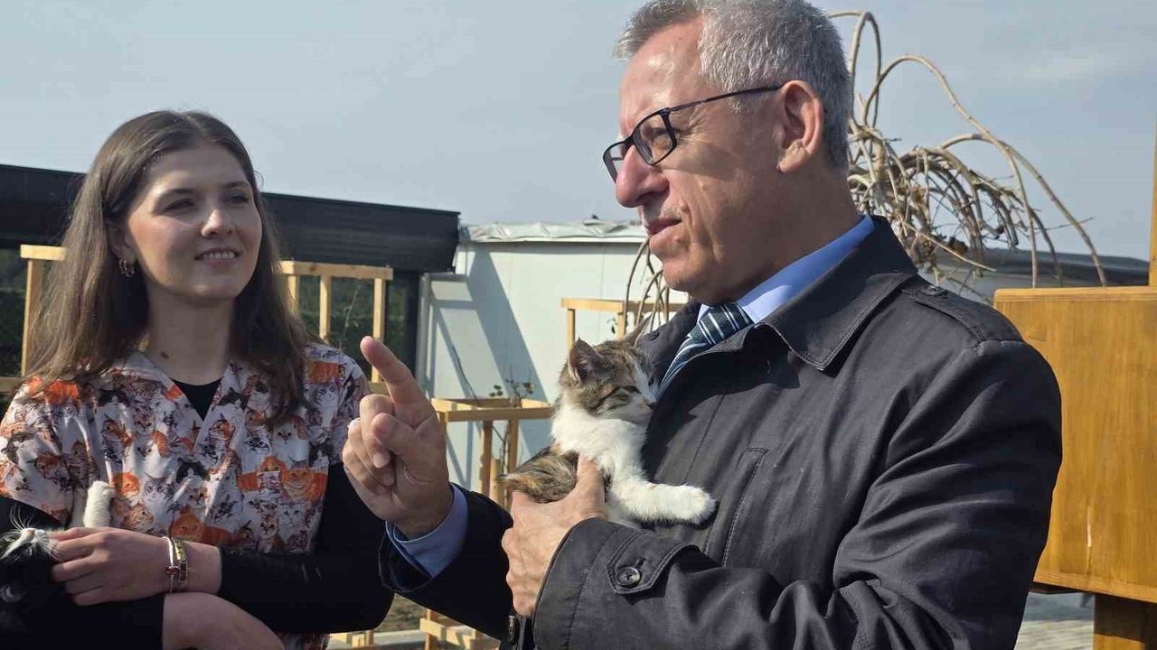 Arslan'ın Evcil Köy Projesi ve Makam Kedileriyle Hayvanseverlik Örneği