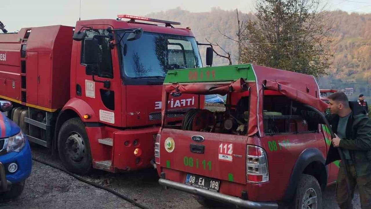Artvin Hopa Başoba'da Ziraat Yangını Ormana Sıçradı