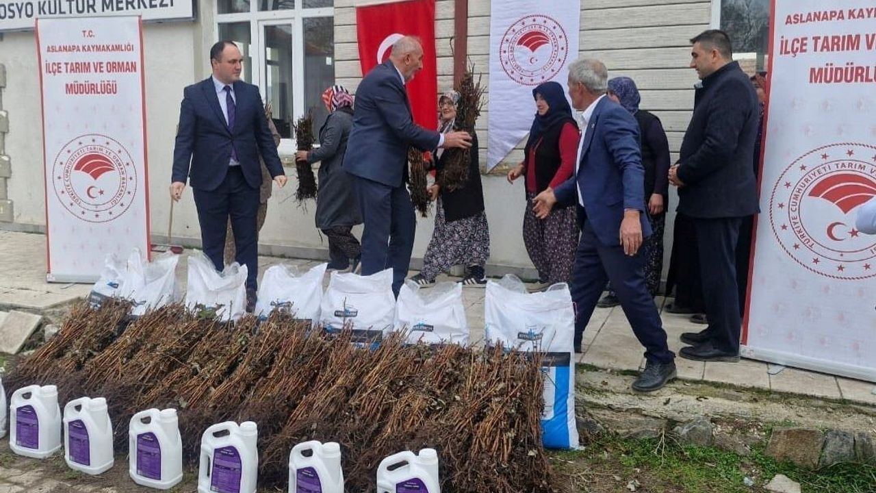 Aslanapa’da 13 Kadın Çiftçiye Yüzde 75 Hibeli 7 Bin Ahududu Fidanı