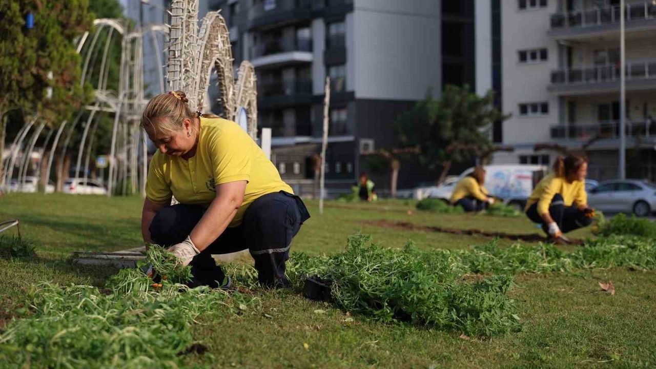 Aydın 350 Bin Çiçekle Bahara Hazır