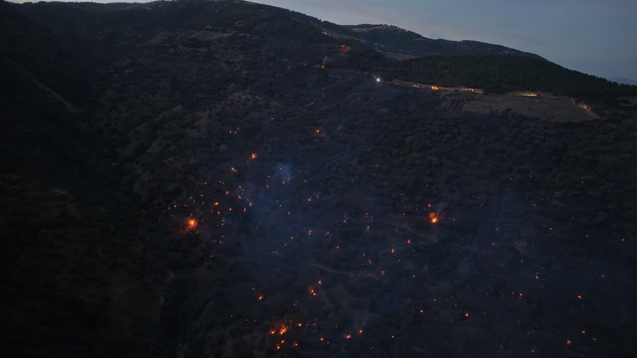 Aydın Bozdoğan'da Yangın Büyük Ölçüde Kontrol Altına Alındı