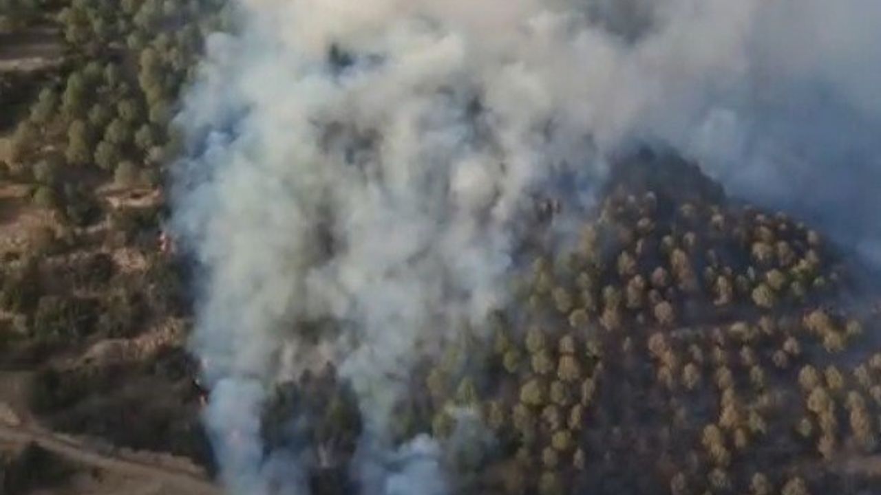 Aydın Bozdoğan'da Zirai Yangın Ormana Sıçradı — Havadan ve Karadan Müdahale