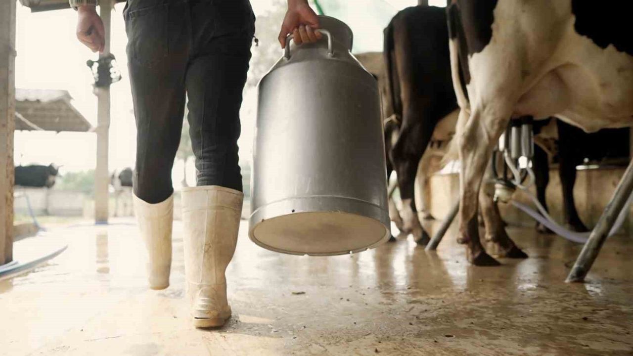 Aydın’da 9 bin 543 Üreticiye 66 milyon 401 bin 359 TL Çiğ Süt Destek Ödemesi — 7 Kasım 2025