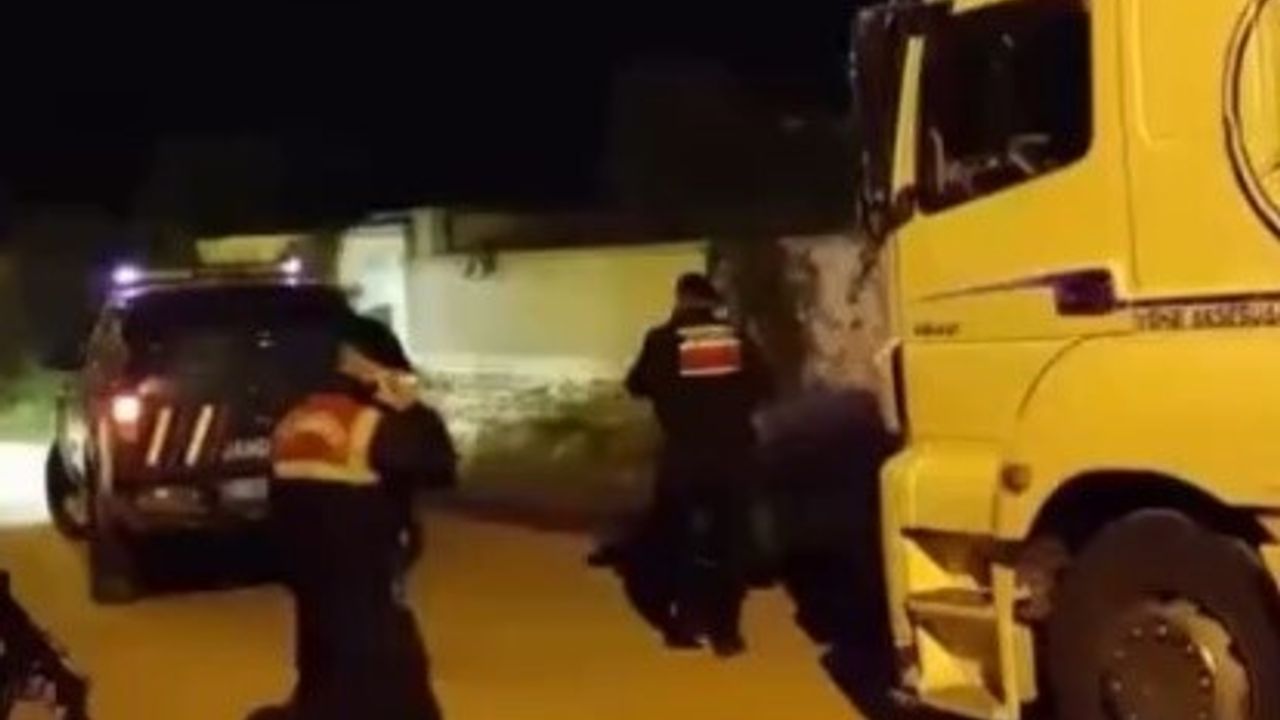 Aydın'da pasaportsuz hayvan sevkiyatına 1 milyon 238 bin 719 TL ceza