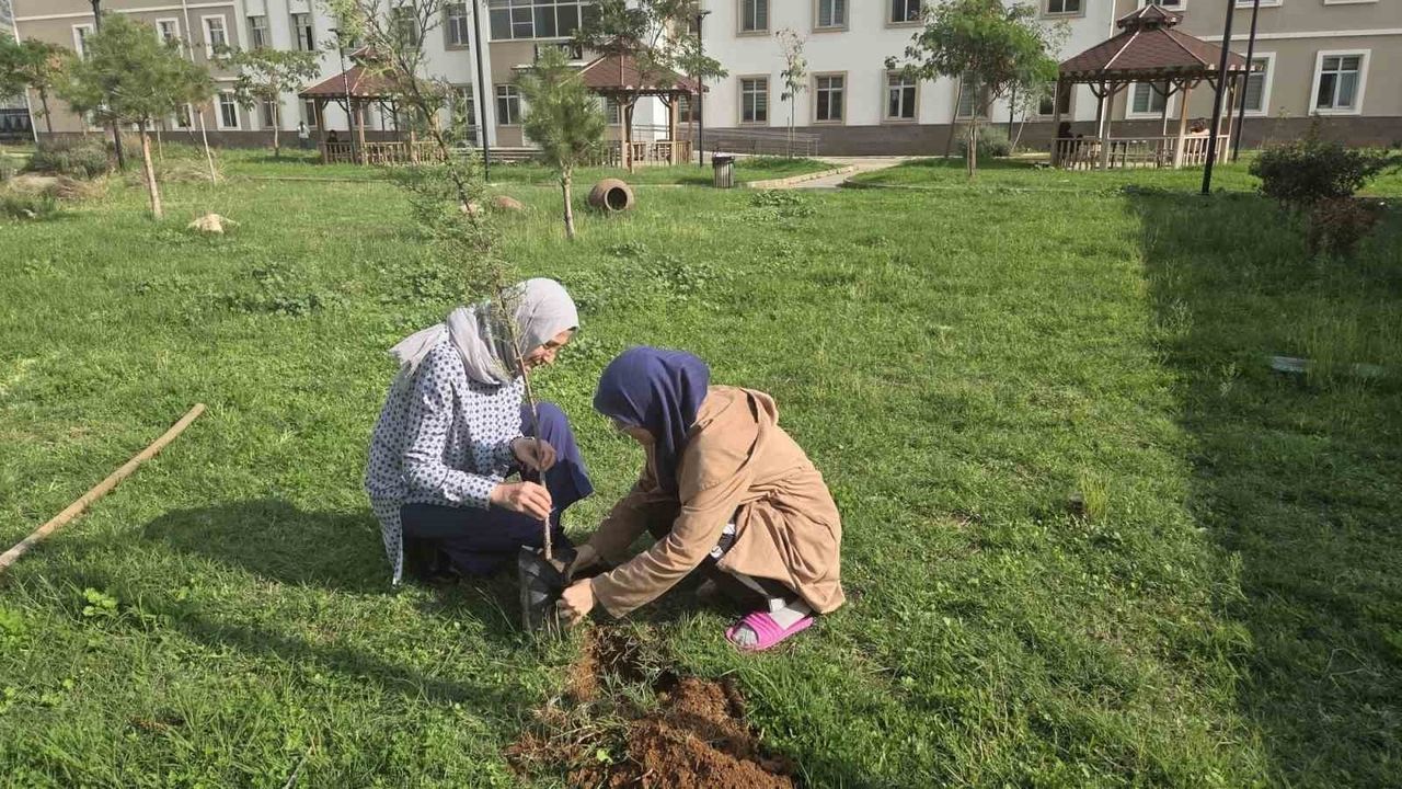 Aydın'da Üniversite Öğrencileri Yurt Bahçelerini Fidan ve Çiçeklerle Yeniledi