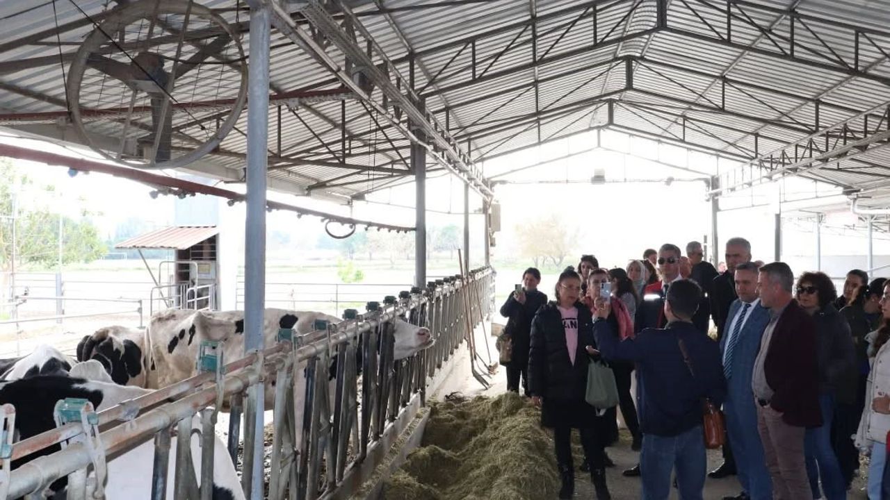 Aydın'da Üreticilere TAYEM Teknik Gezisi: İklim, Kuraklık ve Sulama Eğitimi