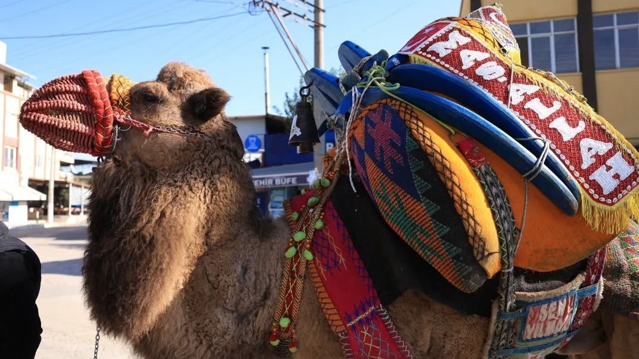 Aydınlı Deveciler 'Havut Hayrı'nda Buluştu