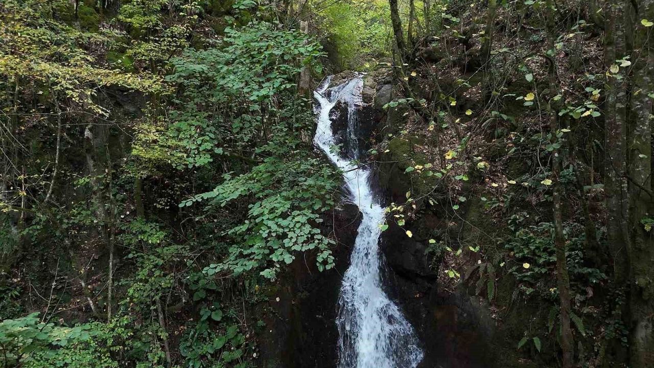 Aydınpınar Şelalesi: Düzce’nin Saklı Cenneti