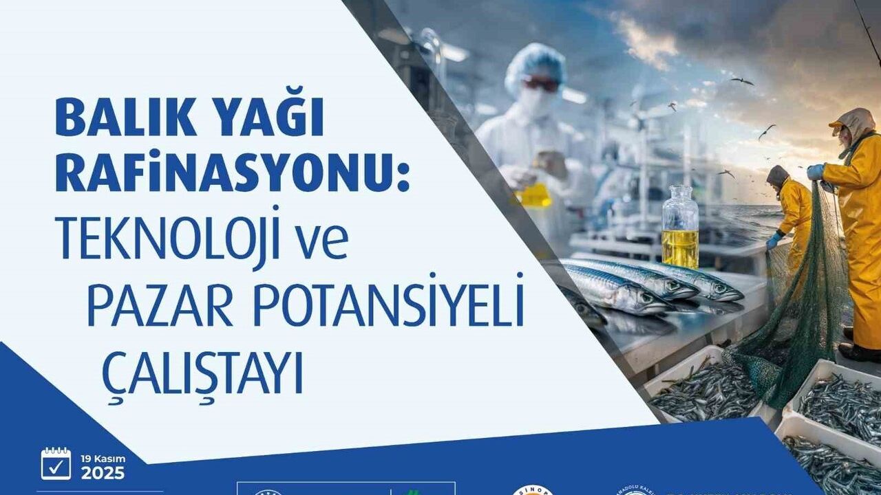 Balık Yağı Rafinasyonu Çalıştayı Sinop’ta: Teknoloji ve Pazar Potansiyeli