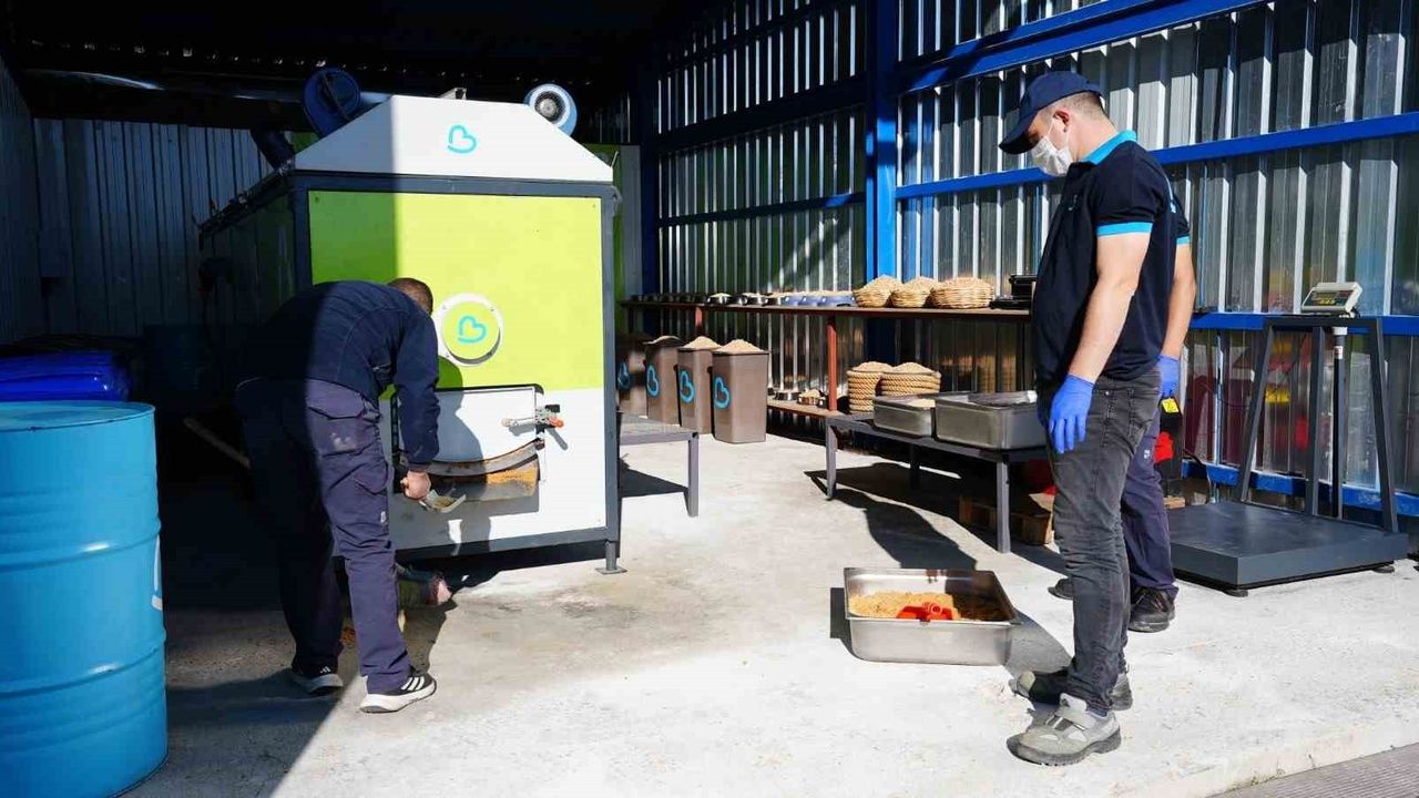 Balıkesir Büyükşehir, sokak hayvanları için mama üretiyor