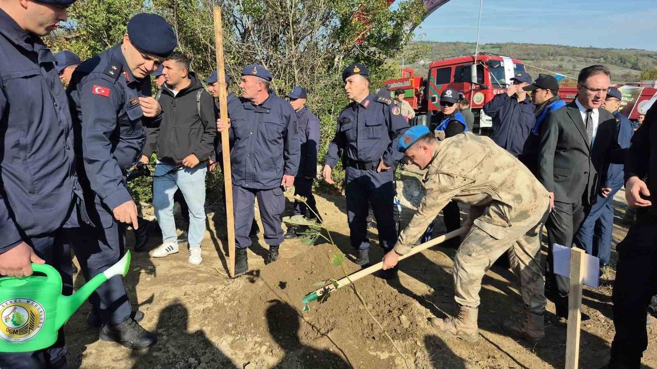Bartın'da 3 bin 500 Fidan Dikildi: Milli Ağaçlandırma Günü'nde Yeşil Vatan Seferberliği