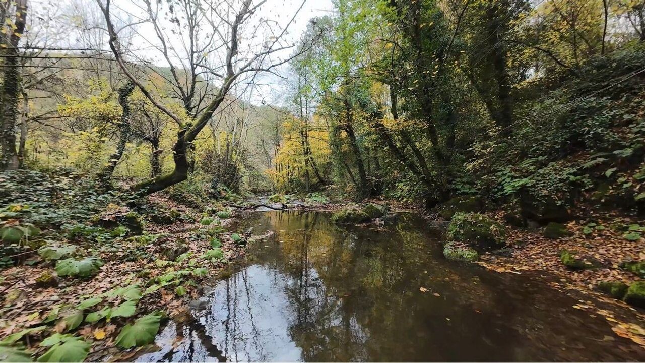 Başiskele'de Sonbahar: Yuvacık Aytepe'de Renk Şöleni