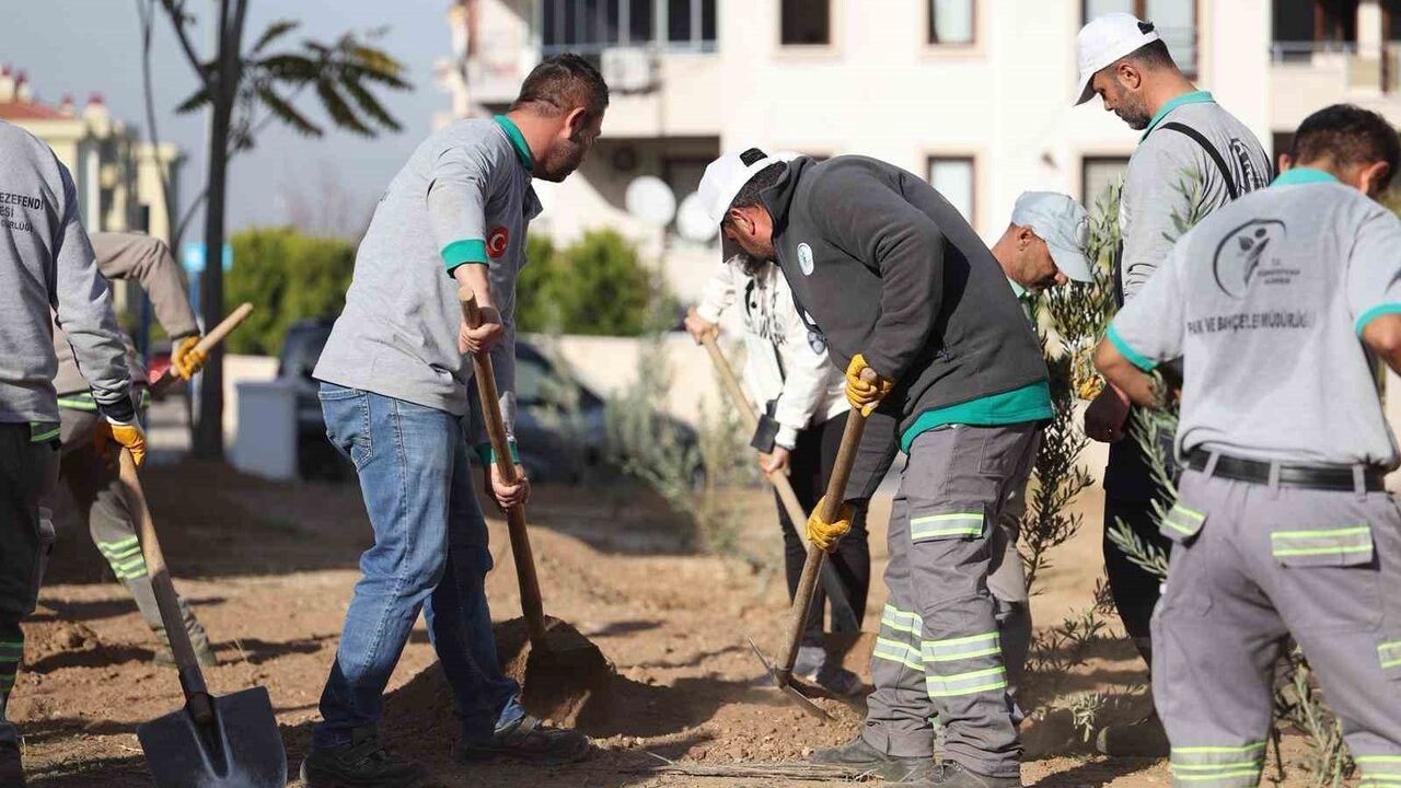 Başkan Doğan: Merkezefendi'de Zeytin Fidanı Dikimiyle Yeşili Korumaya Devam