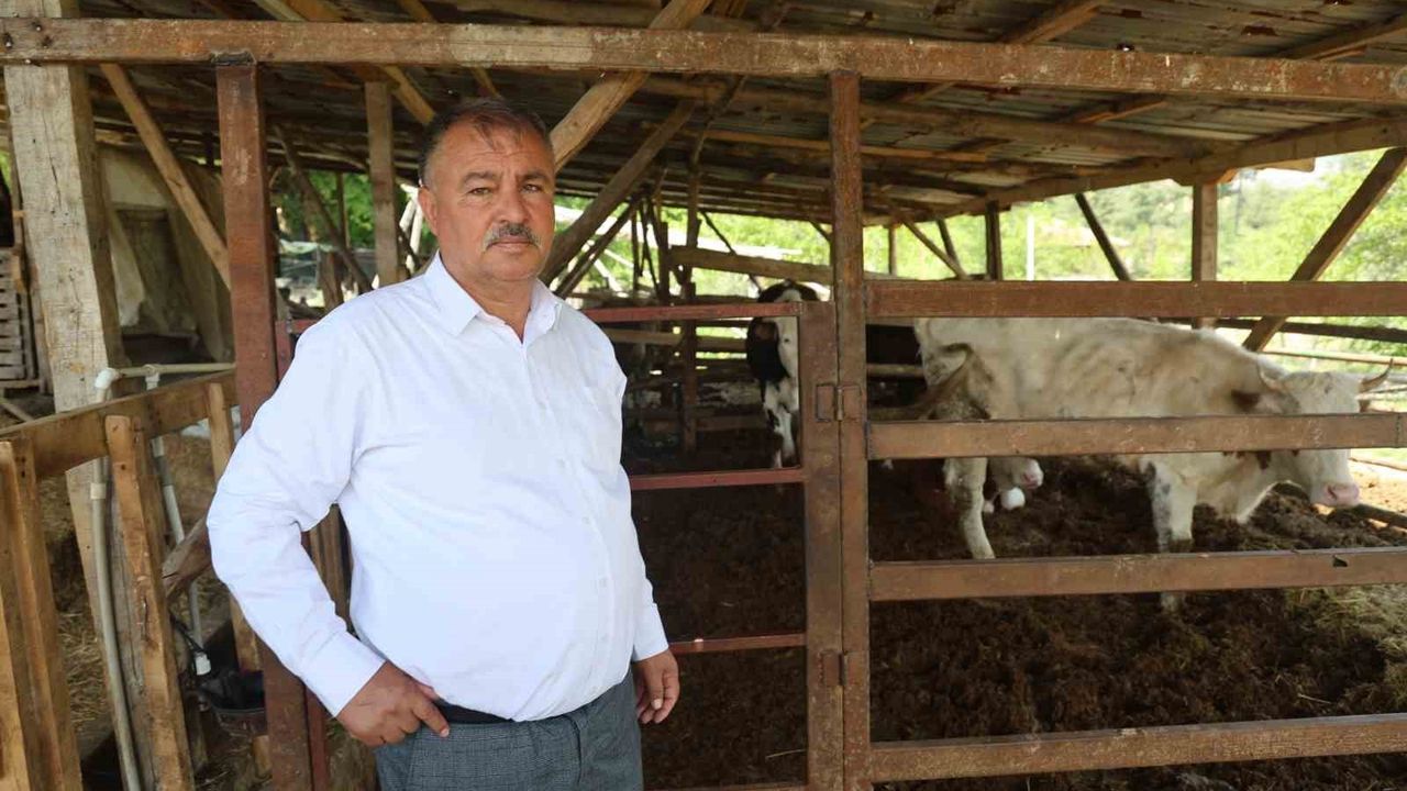 Başkan Pütün Uyardı: Süt ve Yem Krizi Çiftçiyi Bit…