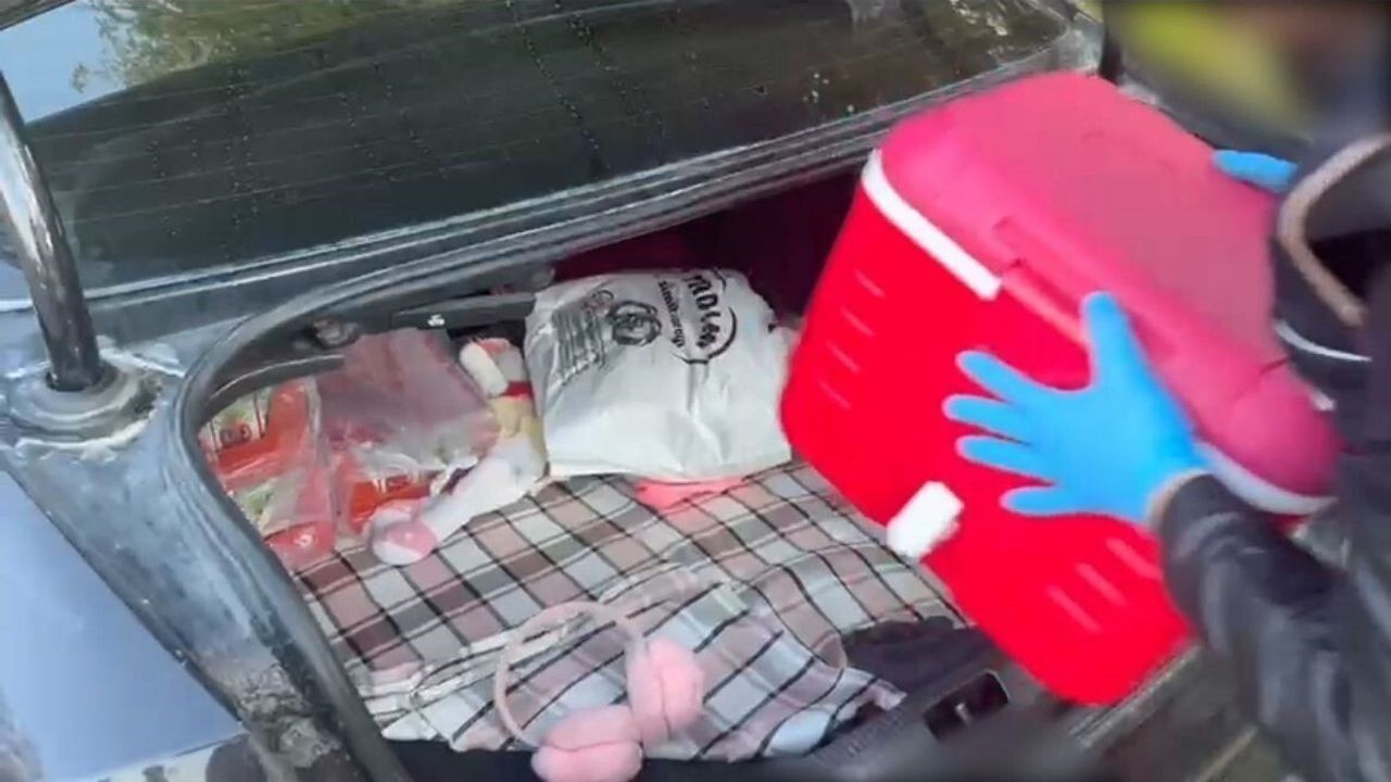 Batman’da Gümrük Kaçağı Operasyonu: Bin 100 Paket Sigara, 140 E-Sigara, 25 Cep Telefonu Ele Geçirildi