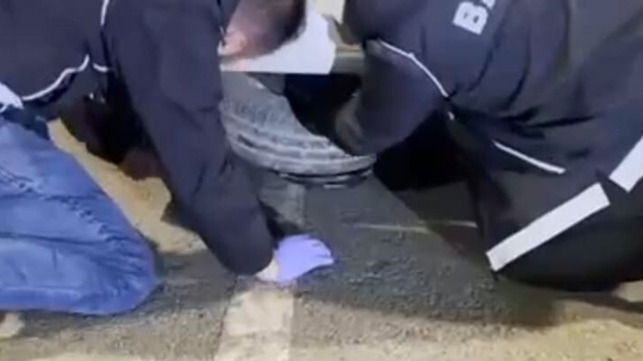 Batman'da Hector ile 12 kilo uyuşturucu ele geçirildi