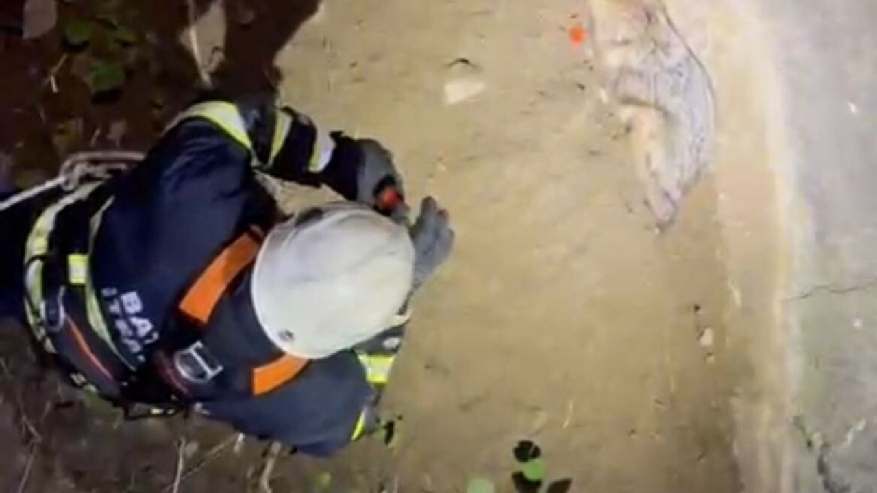 Batman'da Su Kuyusuna Düşen Çakal İtfaiye Tarafından Kurtarıldı