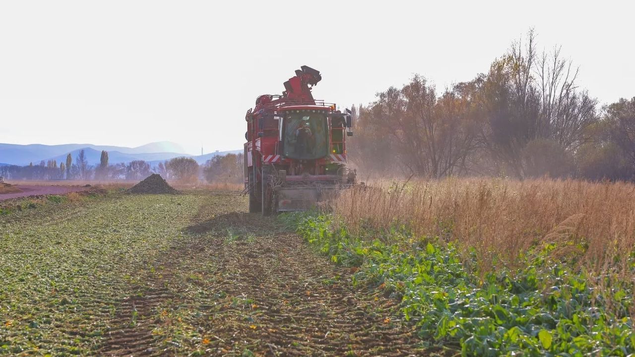 Bayburt Çiftetaş’ta 2025 Şeker Pancarı Hasadı Başladı