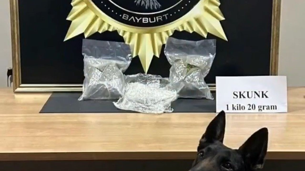 Bayburt’ta Bavulda 1 Kilo 20 Gram Skunk Ele Geçirildi — 1 Kişi Tutuklandı
