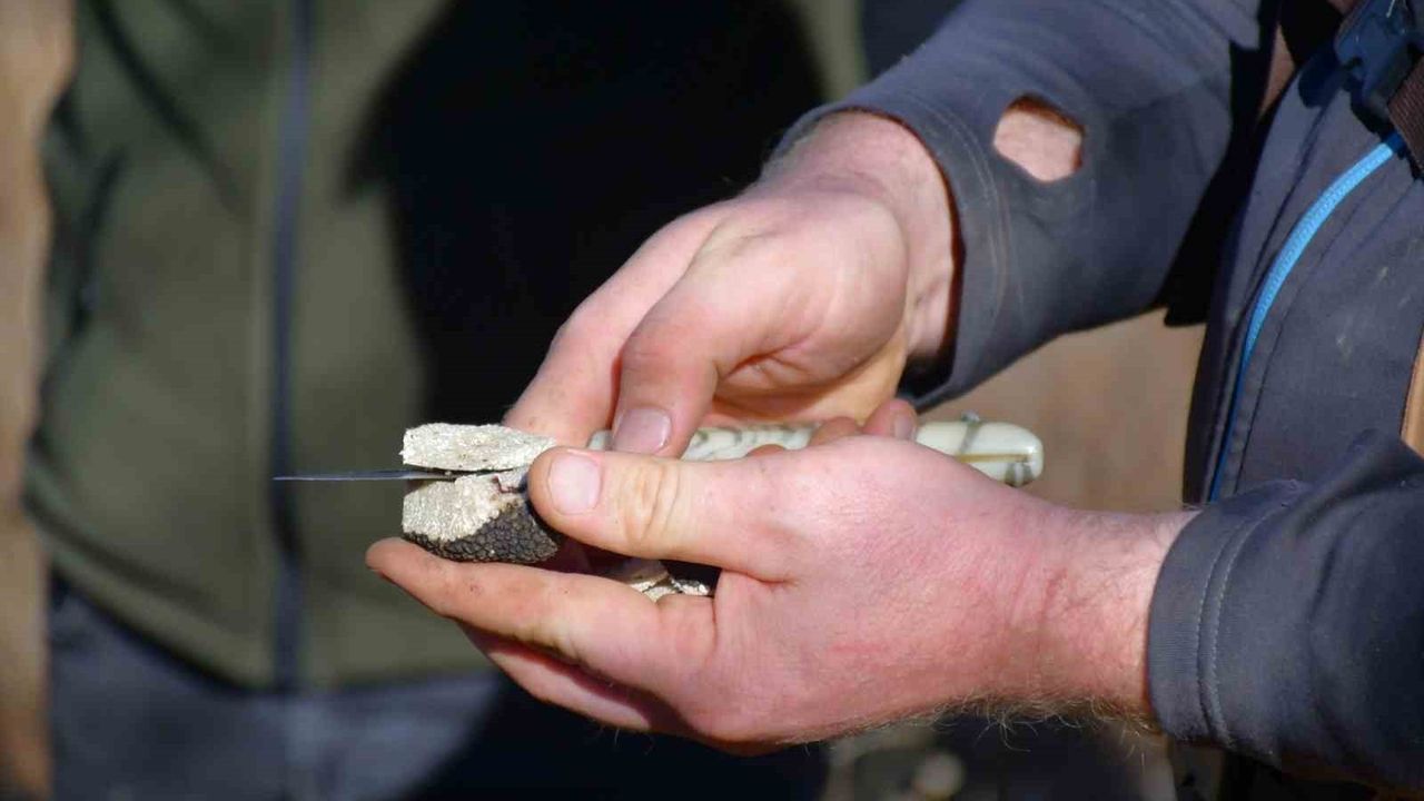 Bayburt’ta 'Kara Elmas' Trüf Mantarı Keşfi