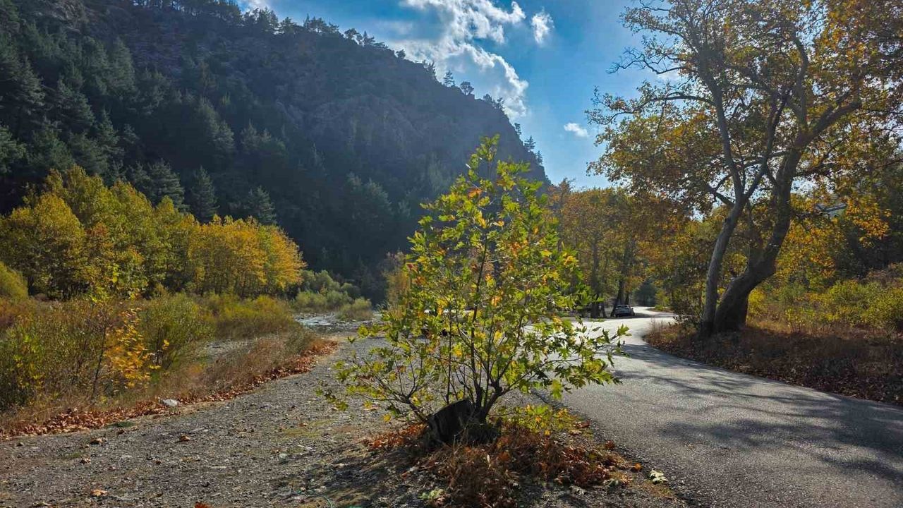 Belemedik Tabiat Parkı'nda Sonbahar Renk Cümbüşü