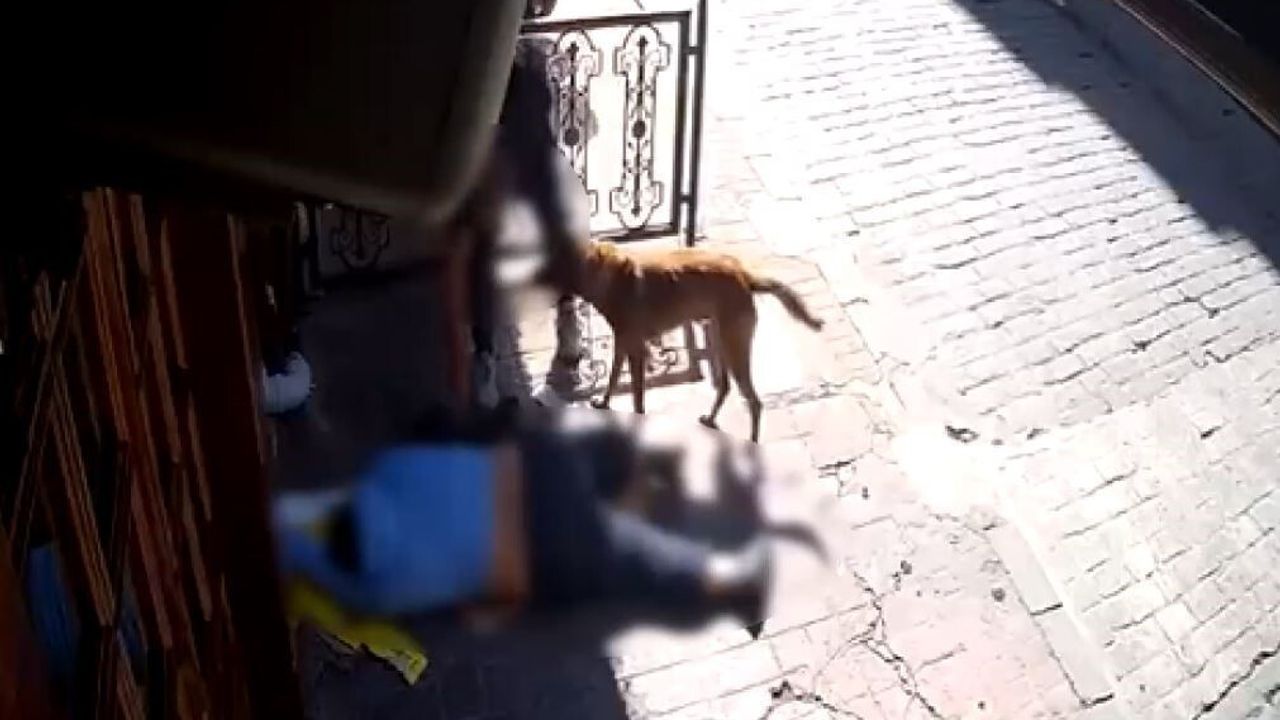 Beyoğlu’nda Sara Nöbeti Sonrası Hırsızlık: 2 Şüpheli Tutuklandı