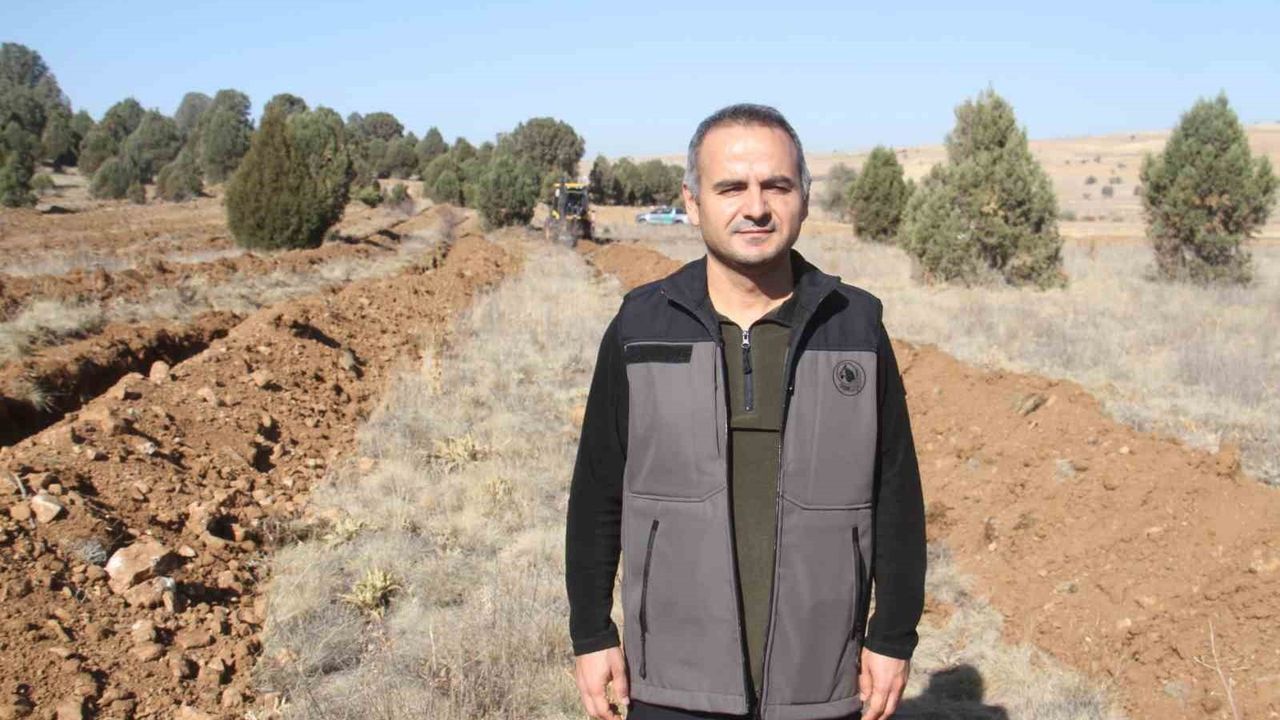 Beyşehir'de 11 bin Orman Fidanı 11 Kasım'da Toprakla Buluşuyor