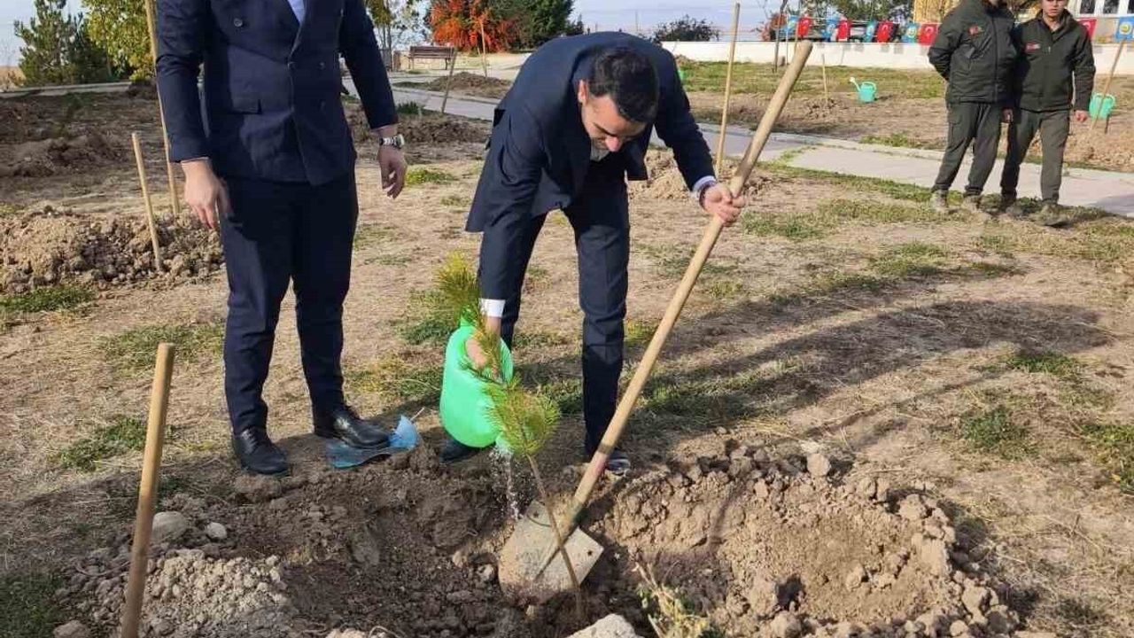 Beyşehir'de Fidanlar Toprakla Buluştu: Kampüse Yeşil Adım