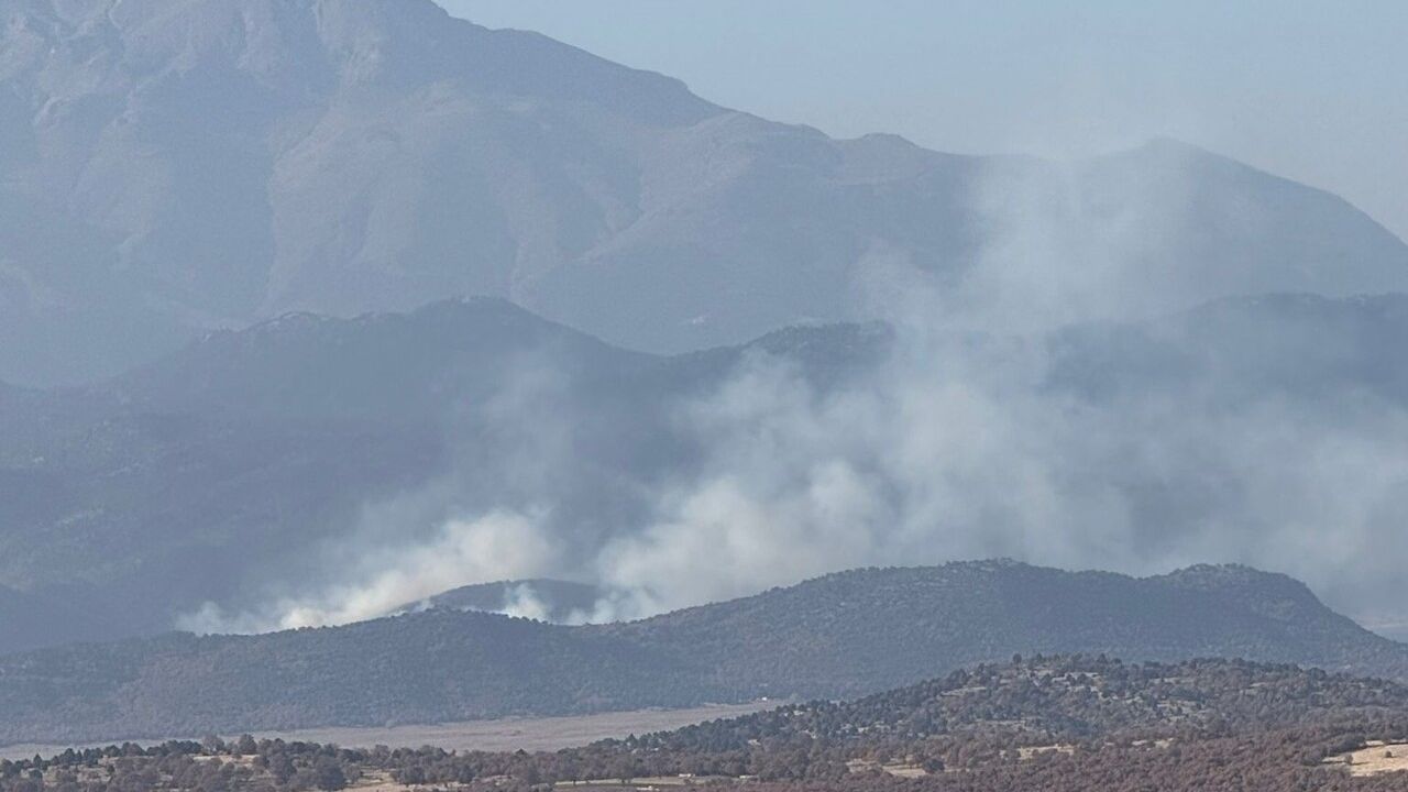 Beyşehir'de İki Sazlık Yangını Kontrol Altına Alındı
