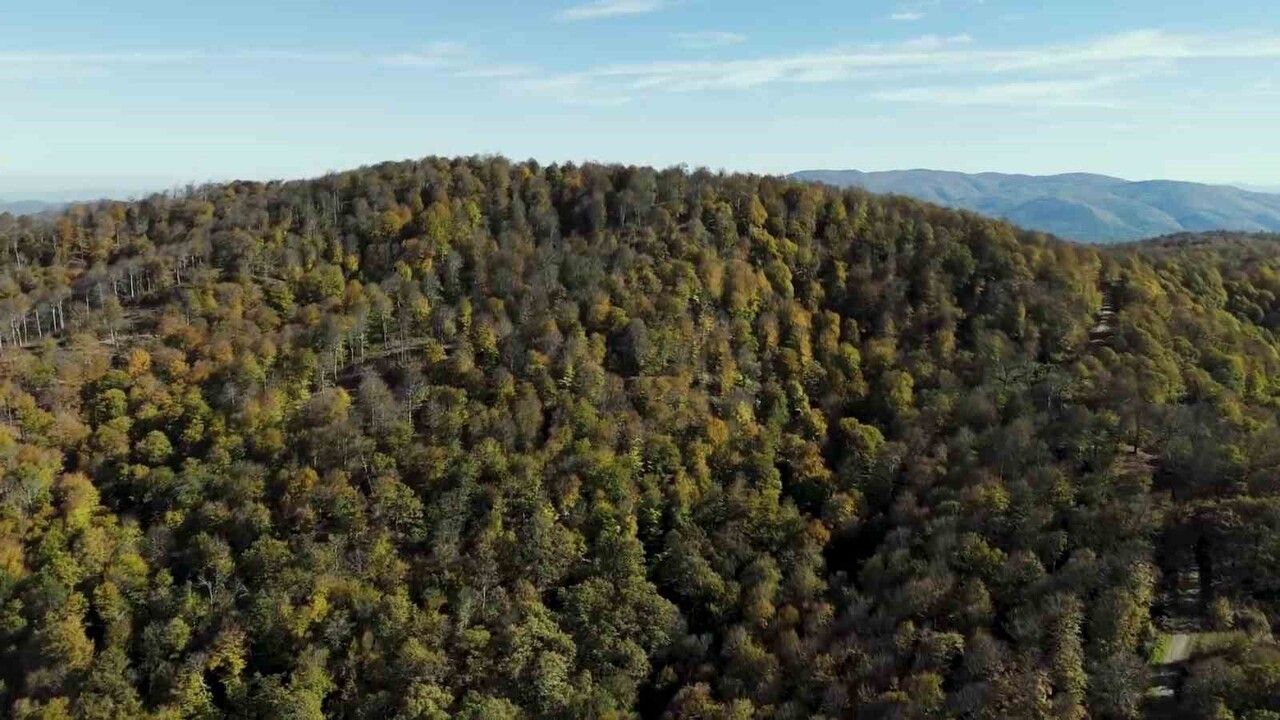 Biga'da Ormanlar Sonbahar Renklerine Büründü — Havadan Görüntülendi